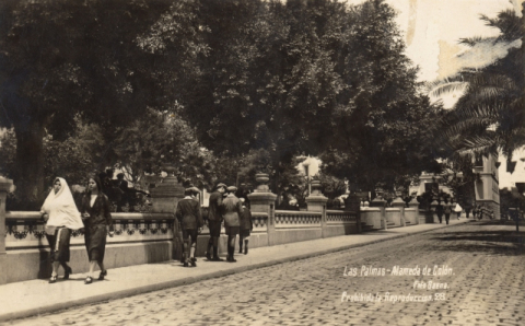 ALAMEDA DE COLÓN