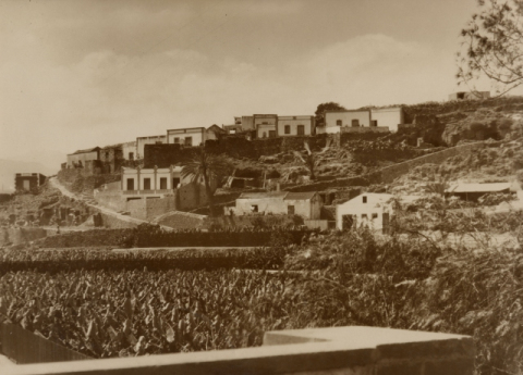 RISCO DE SAN NICOLÁS Y FINCAS
