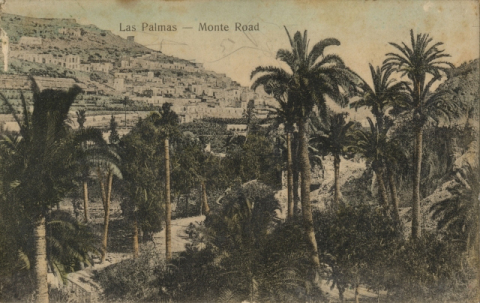 CARRETERA AL MONTE Y RISCO SAN NICOLÁS